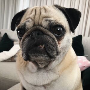 D9mgcqMXkAI8MC2 (1).jpg