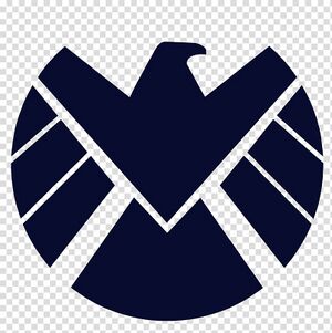 S-h-i-e-l-d-marvel-cinematic-universe-logo-stencil-wall-decal-magneto.jpg