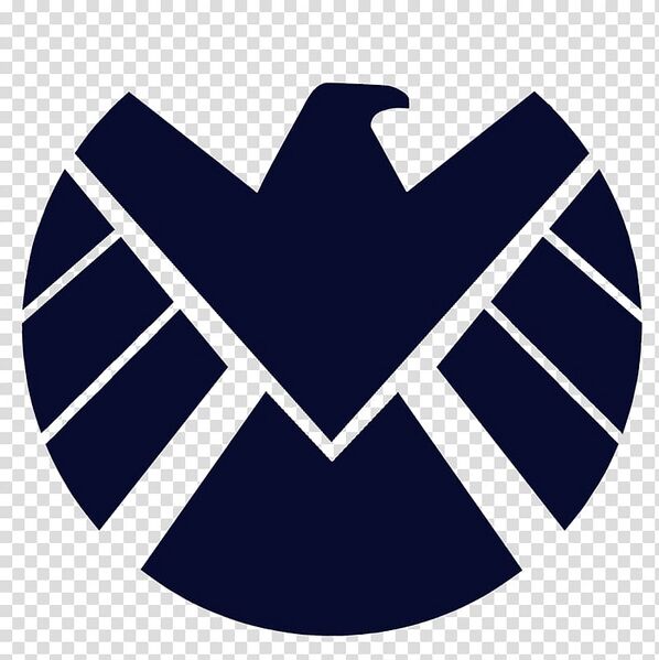 File:S-h-i-e-l-d-marvel-cinematic-universe-logo-stencil-wall-decal-magneto.jpg