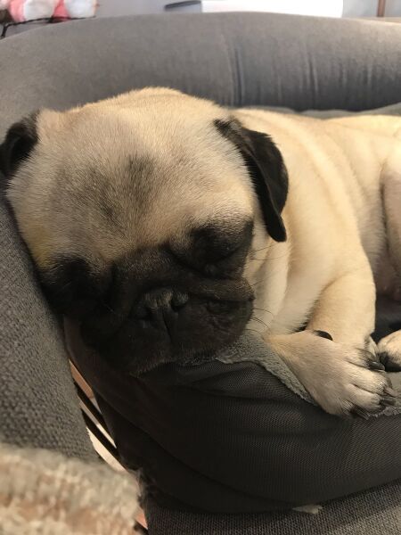 File:Ellie.jpg