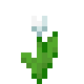 Thumbnail for version as of 06:58, 20 February 2026