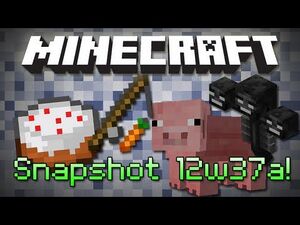 Snapshot12w37a.jpg