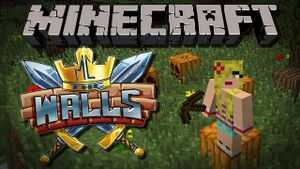 THE WALLS! on Hypixel.jpg